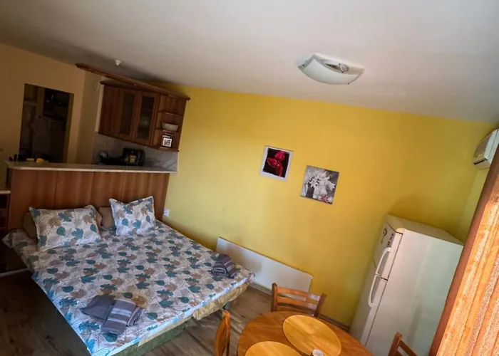 Apartamento Radetsky *